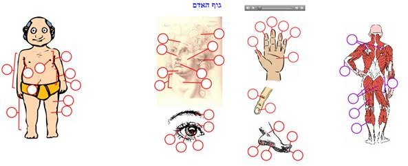 Hebrew Vocabulary Guide - the Body