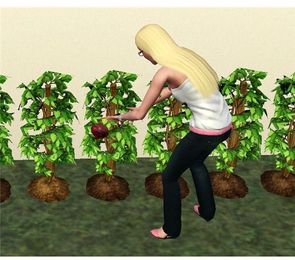 sims 3 tree of prosperity can pick fruit