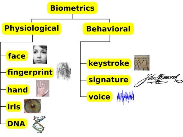 Biometrics traits classification