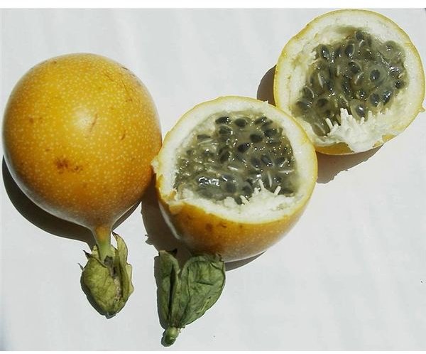 Granadilla 