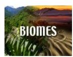 The Two Types of Water Biomes of the World: Lesson Plan on Freshwater & Marine Biomes