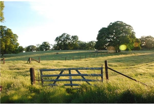 Agricultural Producers