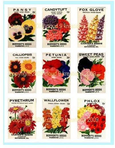 Where to Find Vintage Seed Packet Art for Your DTP Projects