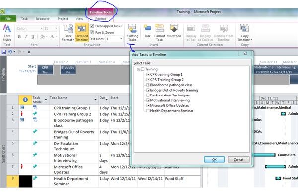 how to minimize timeline in ms project 2010