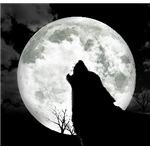 Why Wolves Howl at the Moon: Truth or Fiction?