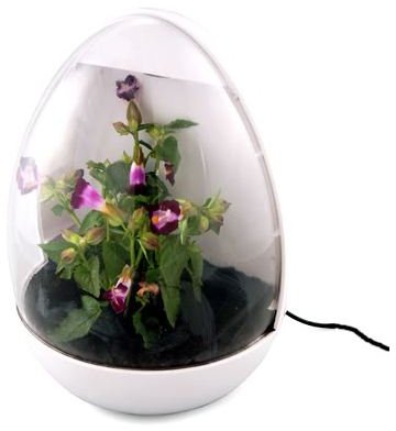 USB Office Gadgets: Greenhouse