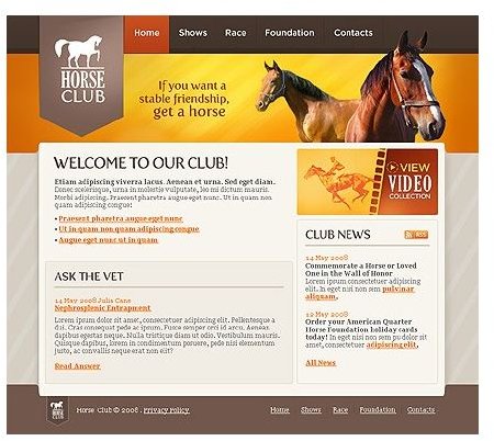 Horse Club Website Template by Entheos Web