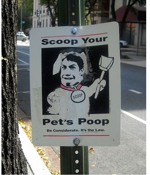 Poop-Scooping