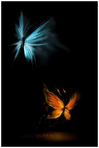 butterflies