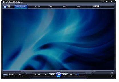 Help! Windows Media Player Cannot Play the File - The Player Might Not Support the File Type