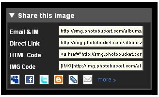 How to Put Pictures on Your MySpace Profile: Guide to Adding Your Favorite Pictures and Images to Your MySpace Account