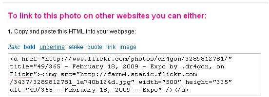 Flickr&rsquo;s HTML Code