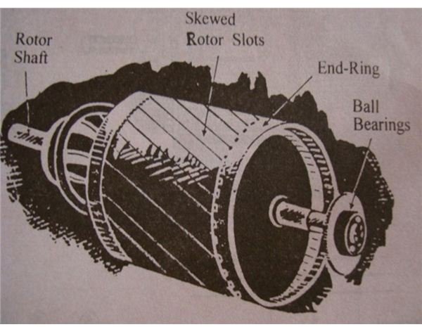 rotor skew