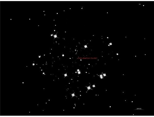 Beehive Cluster - M44 in telescope