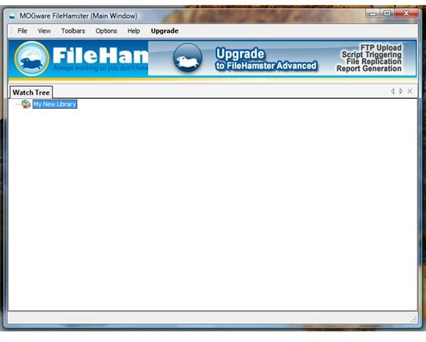 User Interface of FileHamster