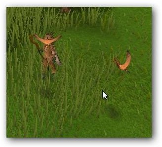 Copper Longtail in Runescape