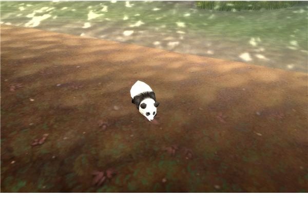 Panda Cub Pet