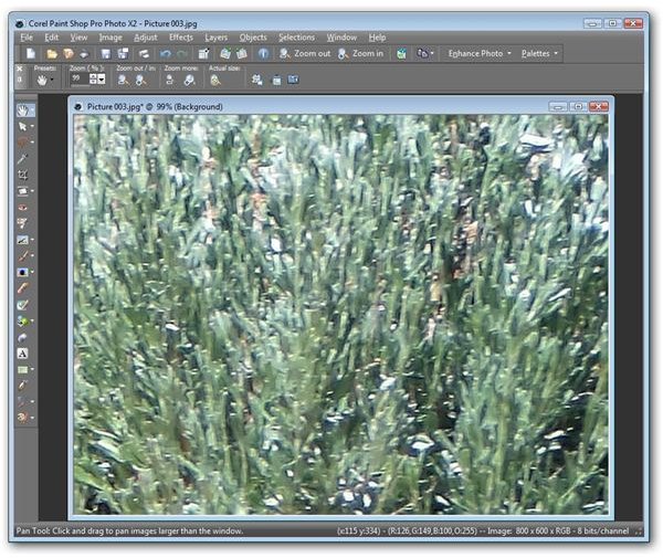 How to Create New Textures from Digital Photographs with Corel Paint Shop Pro Photo X2