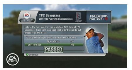 Tiger Woods 10