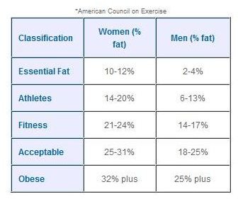 Body Composition and Physical Fitness