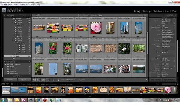 There are Many Tools to Help Organize Images