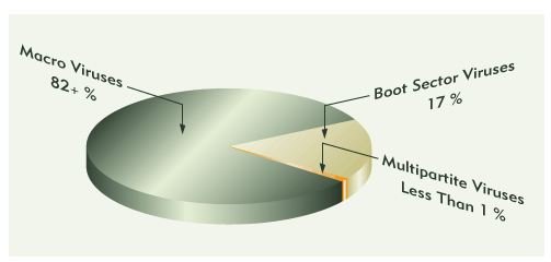 Macro Virus Prevalence