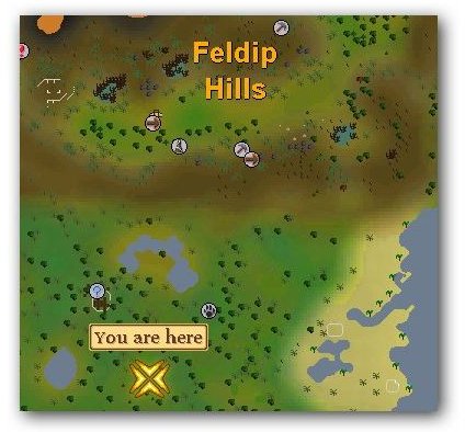 Location of Tropical Wagtail in Runescape