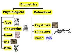 Biometrics in IT Security: Questions, Options and Solutions