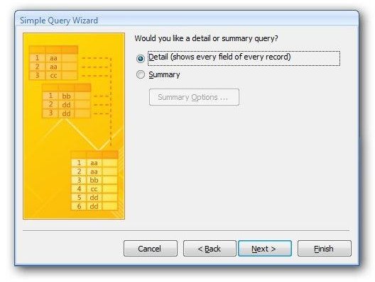 Choose Detail or Summary Query