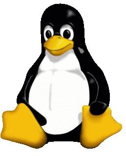 A Brief History of Linux: An Introduction to the Open Source Operating System