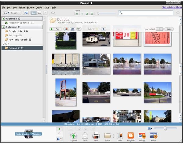 Picasa main program window