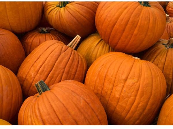 Pumpkin for Health and Beauty: Learn About the Amazing Health Benefits of Pumpkin