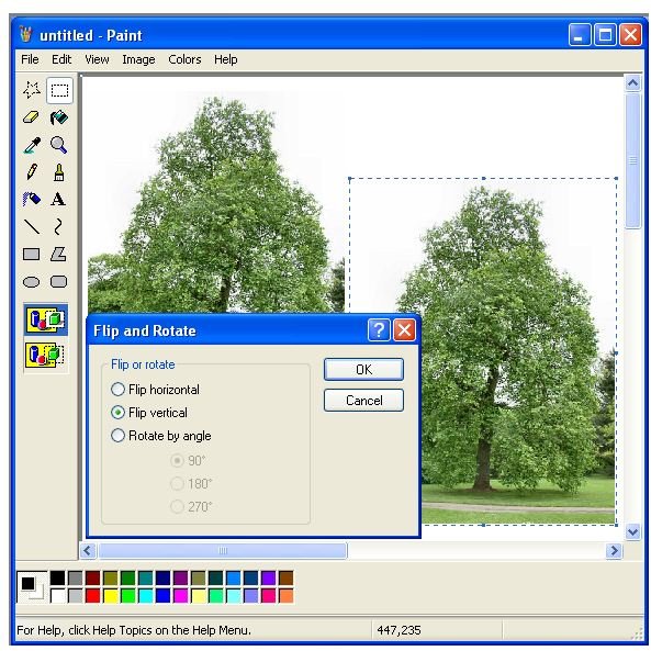 Flipping/Rotating an Image on MS Paint