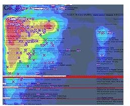 Cannoli Open Source Heatmap Software: Track User Navigation Habits For Free