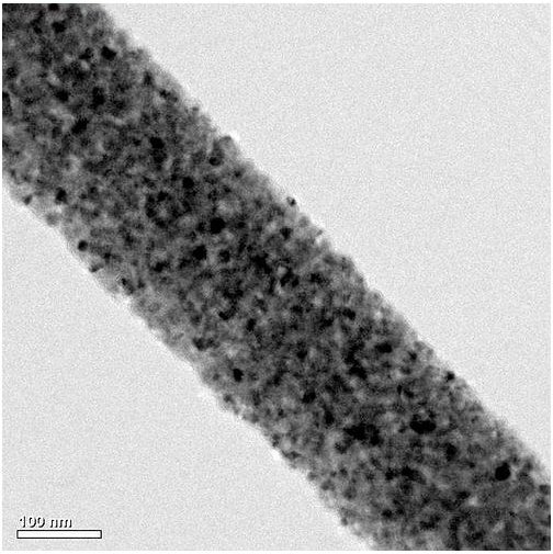 Titanium Dioxide Nanowire