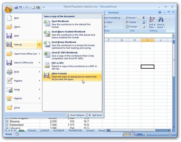How to Export an Excel 2007 Spreadsheet to a CSV File