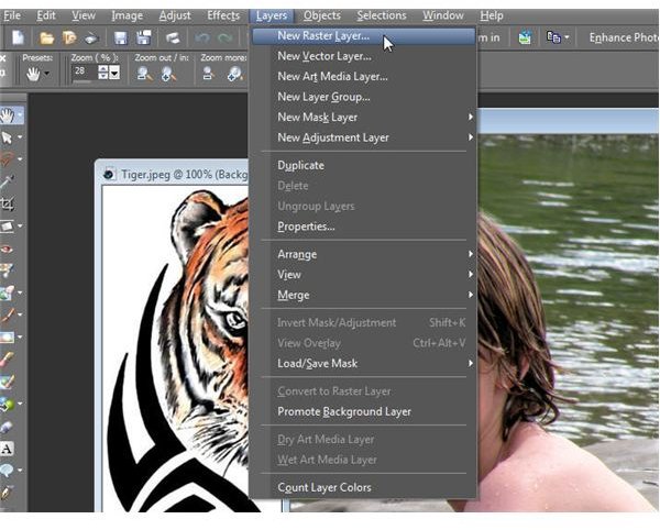 Create New Raster Layer