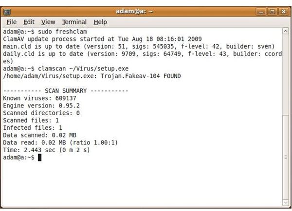 dyn updater for linux command line