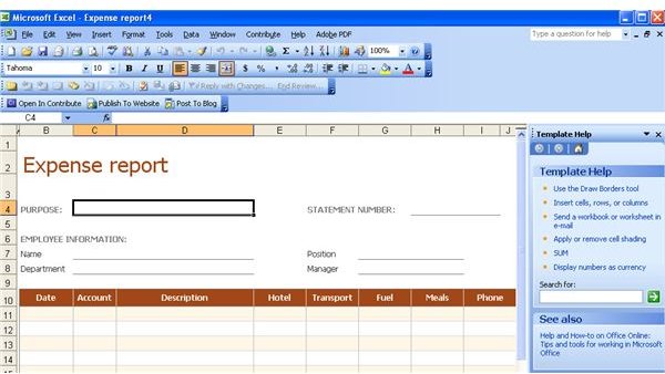 Expense report in Excel