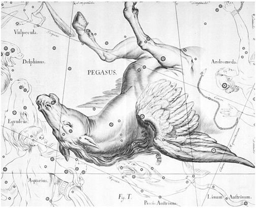 Interesting Facts About Constellation Pegasus: Learn the Mythology & Other Facts on Pegasus Constellation
