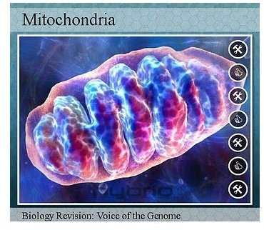 Where is DNA Found? Learn About DNA in Human Cells as well as in Plants, Animals, Bacteria & Outer Space!