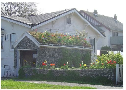 Green roof