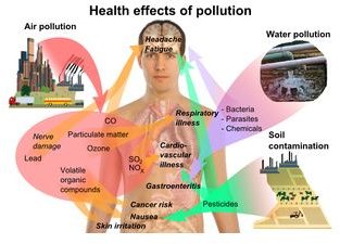The Main Types of Pollution on the Earth and the Promise of Renewable Energy