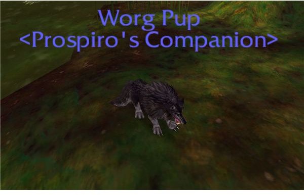 World of Warcraft Worg Pup Pet