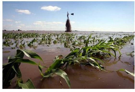 dead-zone-in-the-gulf-of-mexico P75Qn 2263