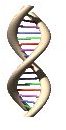 Info on DNA Computing - What is it and How Can it Help Us?