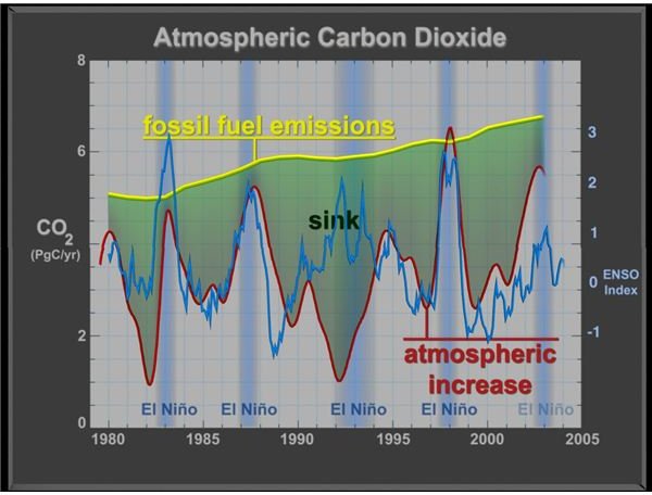 Don't be Taken in by Carbon Credit Scam Sites