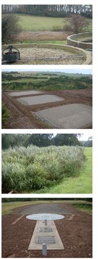 Reed beds for Sewage Treatment