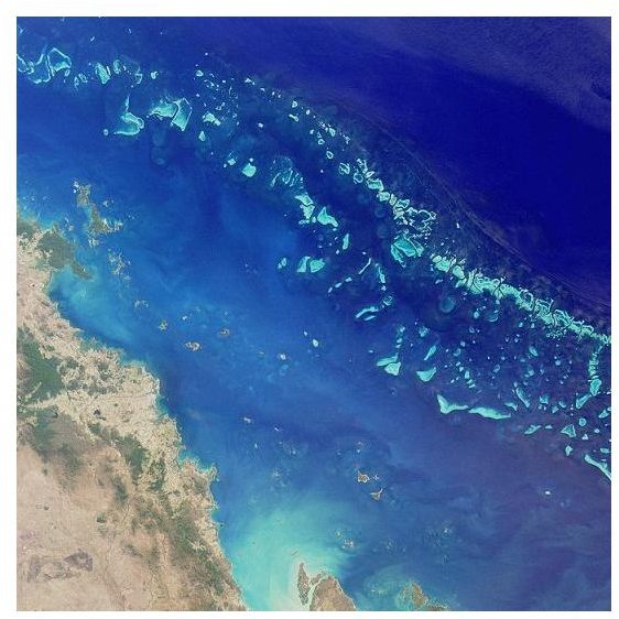 How Global Warming Affects The Great Barrier Reef