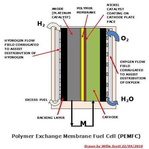 How do Hydrogen Fuel Cells Work?